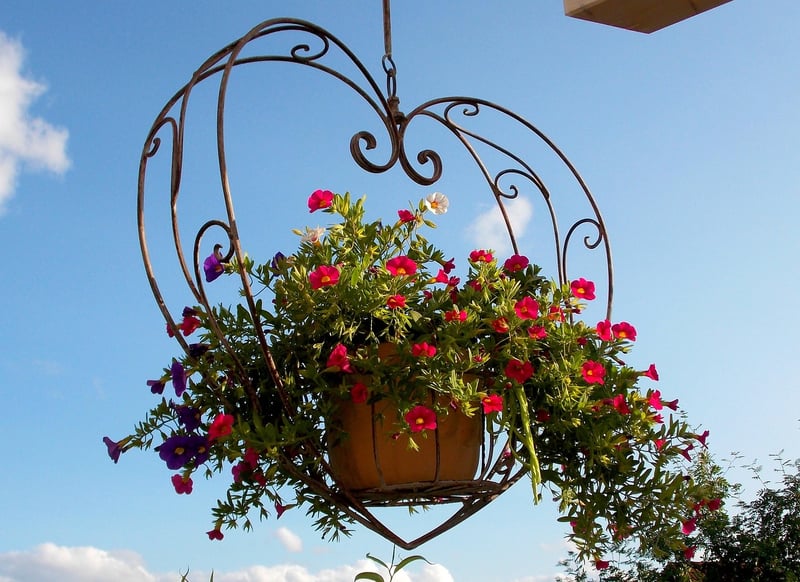 Hanging Planters