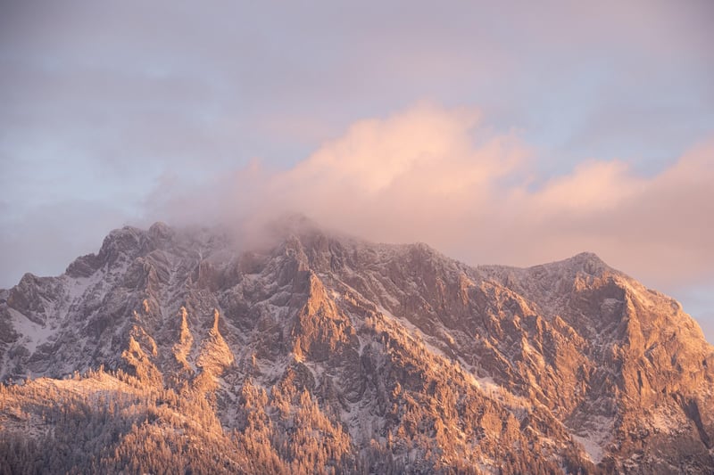 Winter Snow Scene
